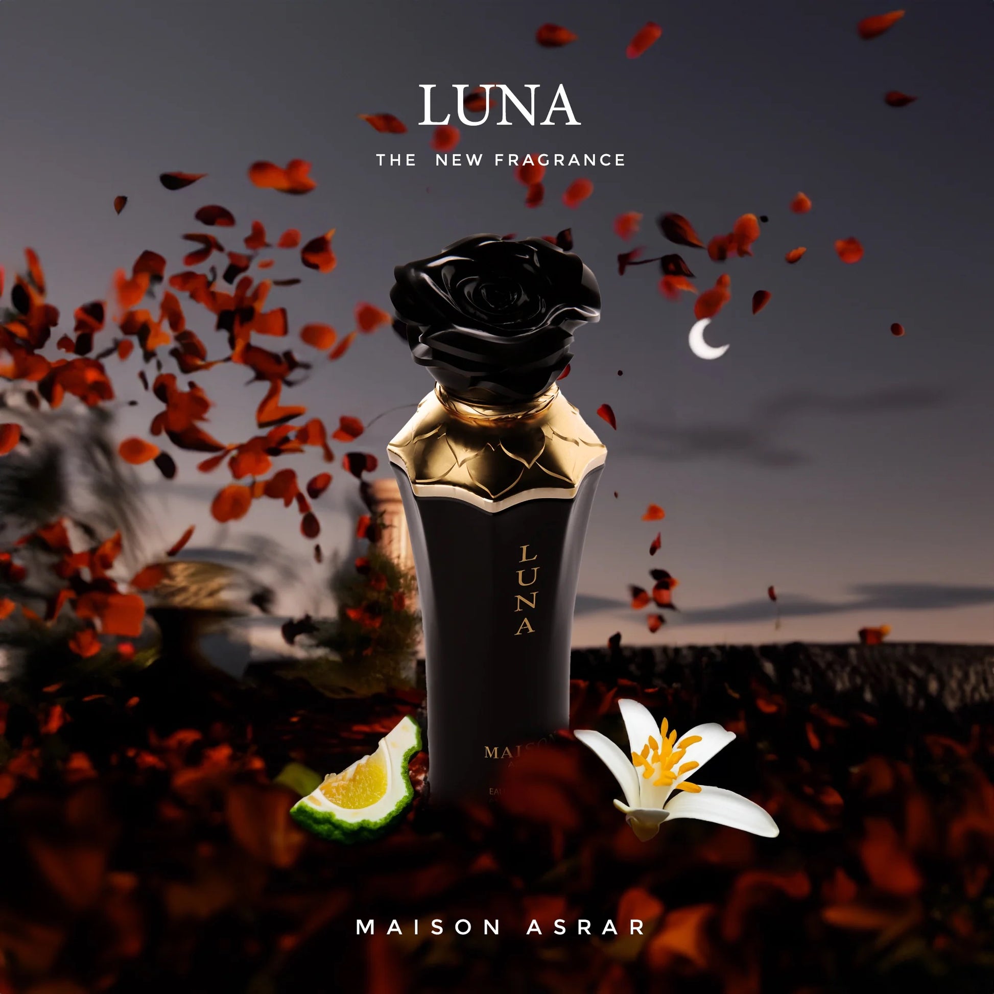 Maison Asrar Luna